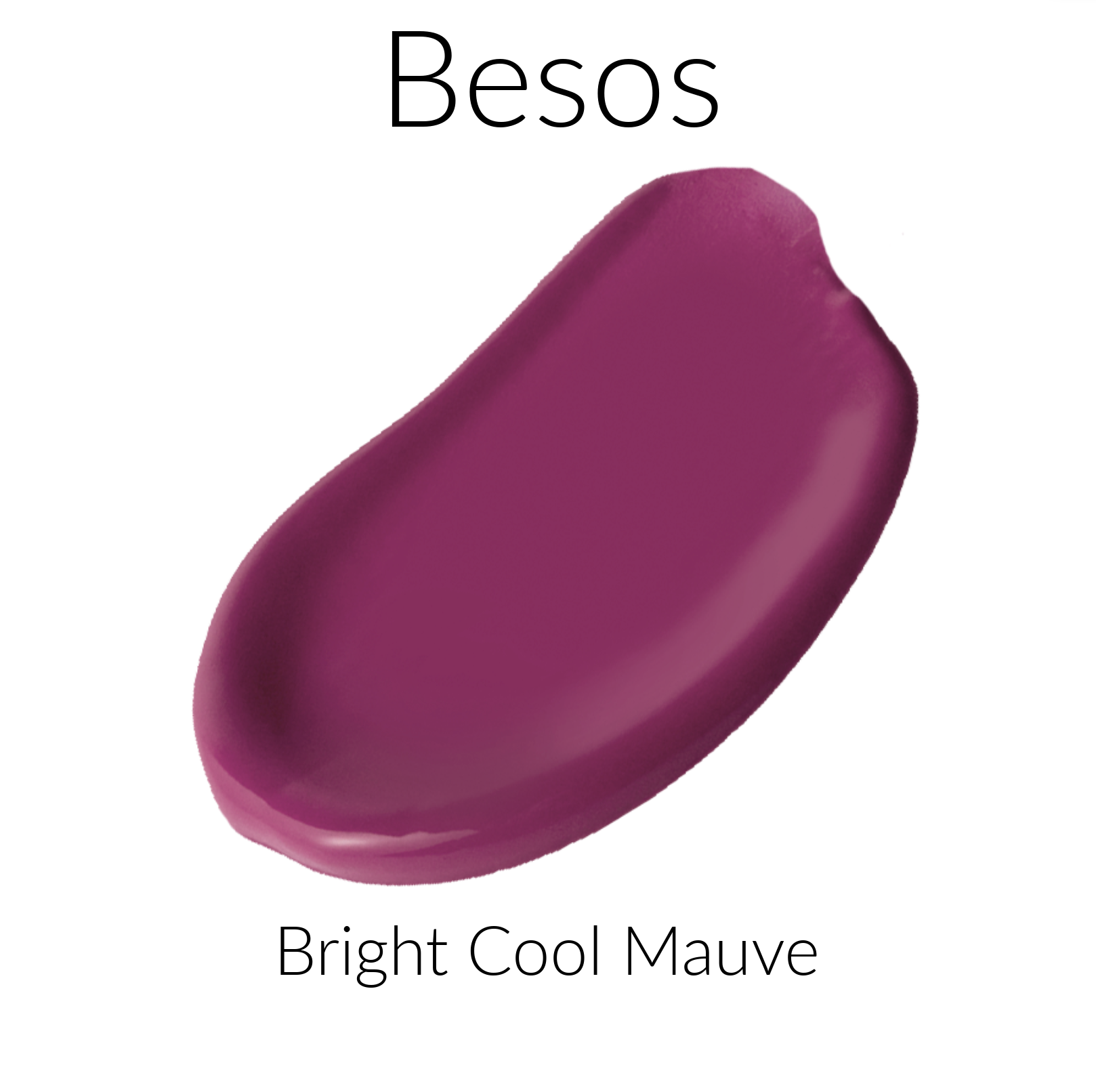 Besos Bright Cool Mauve All Nighter Liquid Lipstick Color Swatch