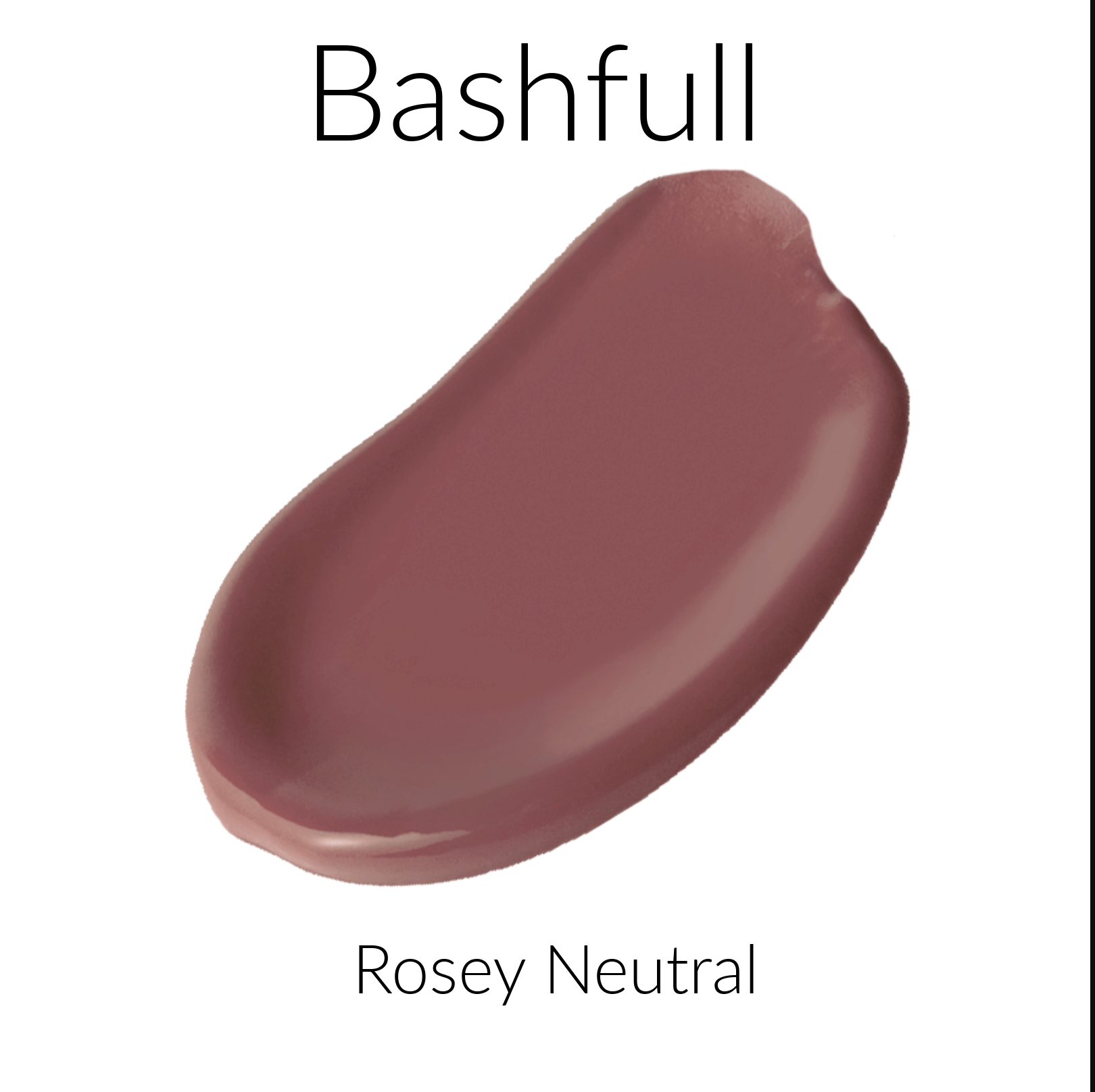 Bashfull Rosey Neutral Nude All Nighter Liquid Lipstick Color Swatch