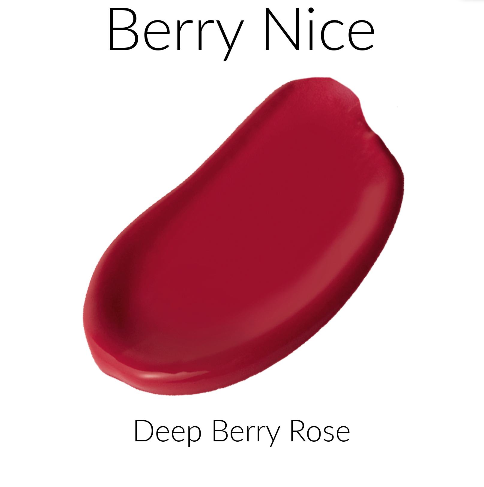 Berry Nice Deep Berry Rose All Nighter Liquid Lipstick Color Swatch